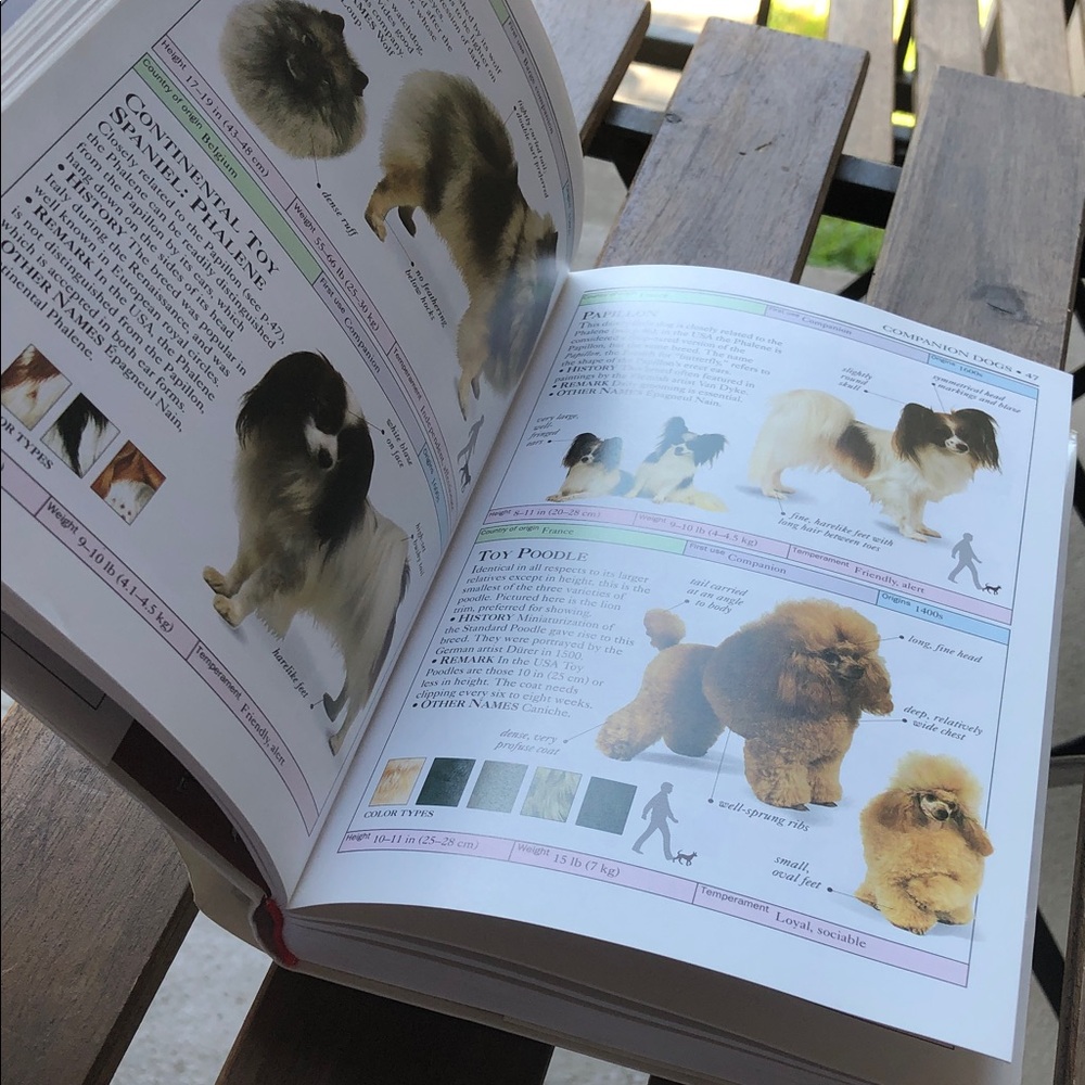 Dogs Visual Guide - Picture 3 of 7